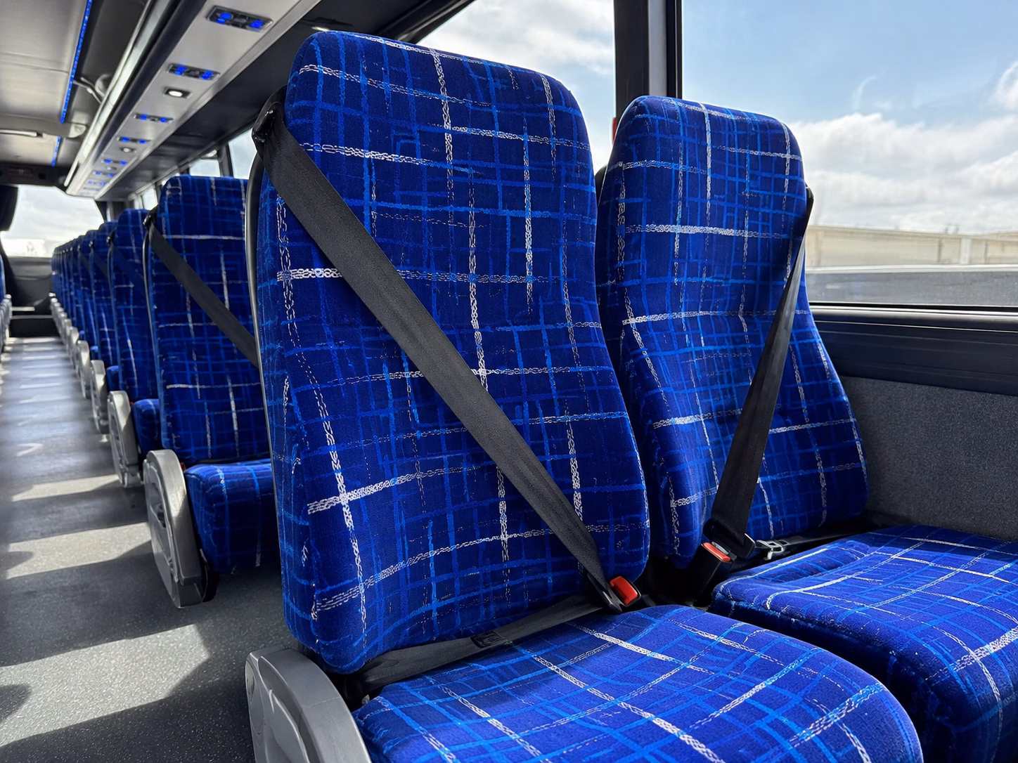 southaven school field trip charter bus rentals for your class